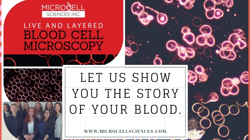 MicroCell Sciences Inc. Shannon Gregory | 3505 Wyecroft Rd Unit 12, Oakville, ON L6L 0B6, Canada | Phone: (905) 464-5257