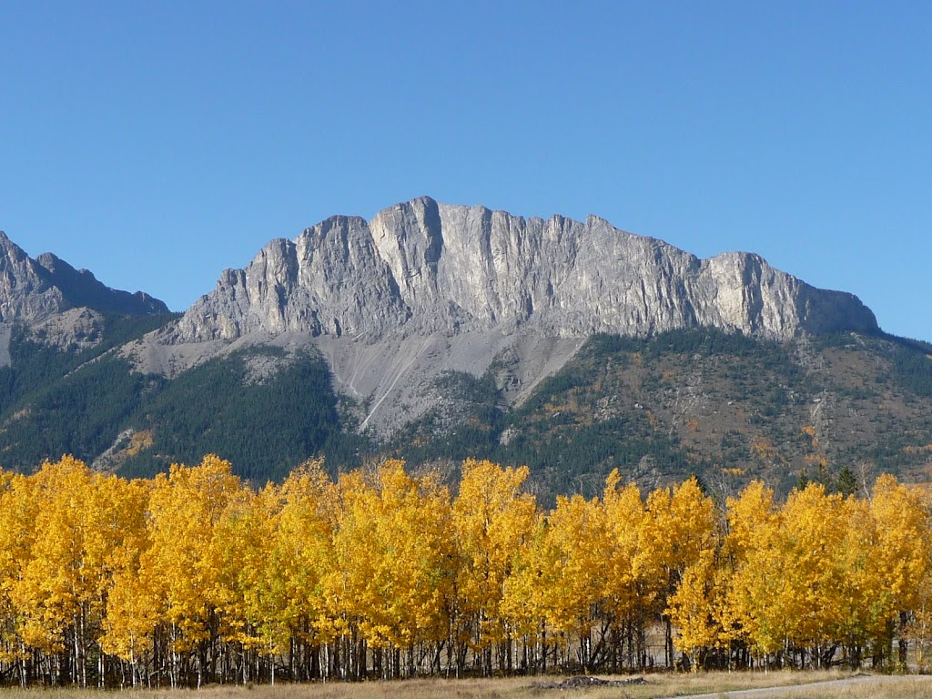 Brewsters Kananaskis Ranch Development | Range Rd 83B M.D. of Rural, Bighorn No. 8, AB T0L 2C1, Canada | Phone: (403) 688-2778