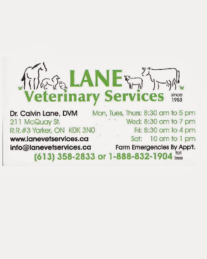 Lane Veterinary Services | 211 McQuay Rd, Yarker, ON K0K 3N0, Canada | Phone: (613) 358-2833