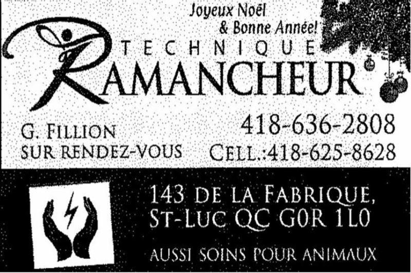 Gilles Fillion Technique Ramancheur | 235 Rue Principale Gd, Saint-Luc-de-Bellechasse, QC G0R 1L0, Canada | Phone: (418) 636-2012