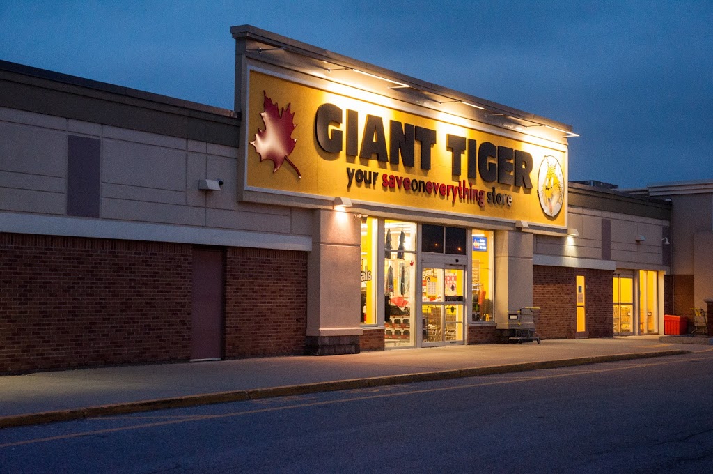 Giant Tiger | 183 Silvercreek Pkwy N, Guelph, ON N1H 3T2, Canada | Phone: (519) 766-4569