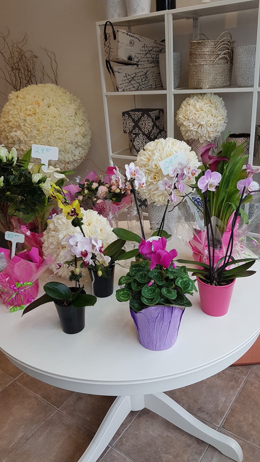 MIYA florist | 6775 Avenue de Darlington, Montréal, QC H3S 2J7, Canada | Phone: (514) 400-6188