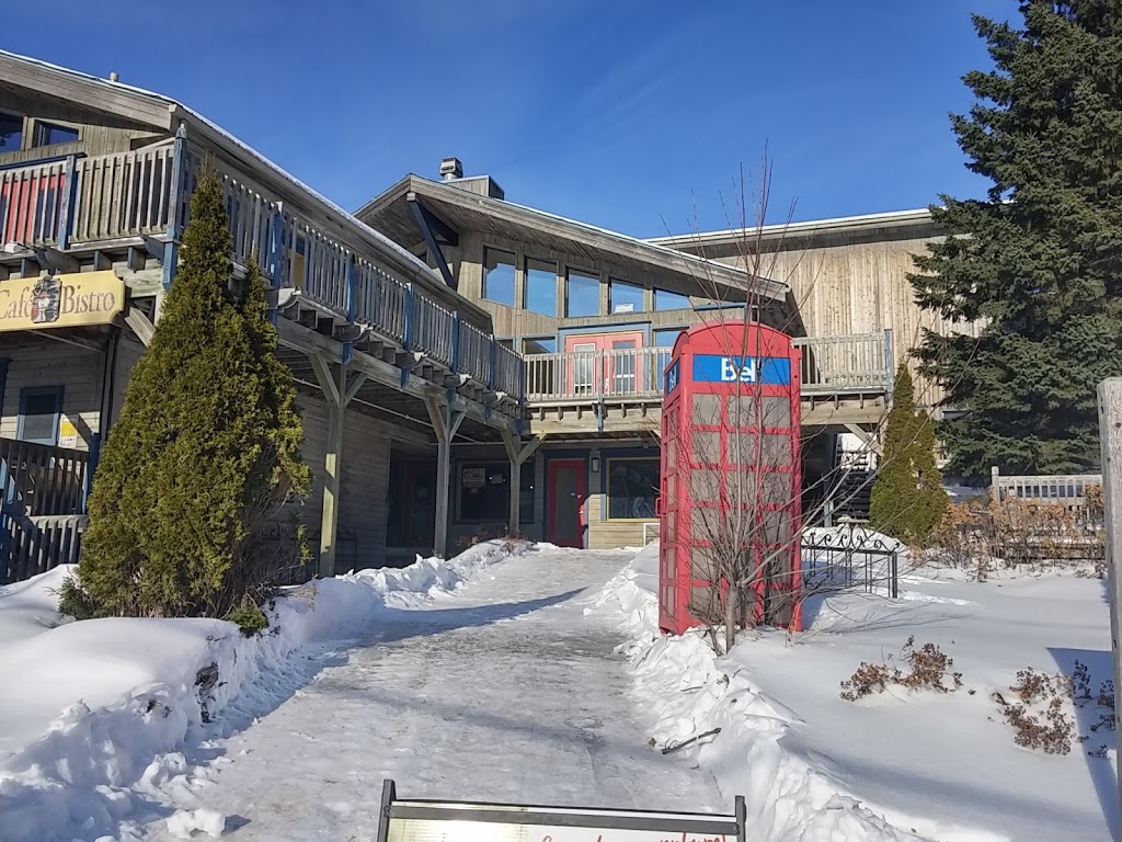 Le Petit mail du Nord | Chemin de la Rivière, Val-David, QC J0T 2N0, Canada