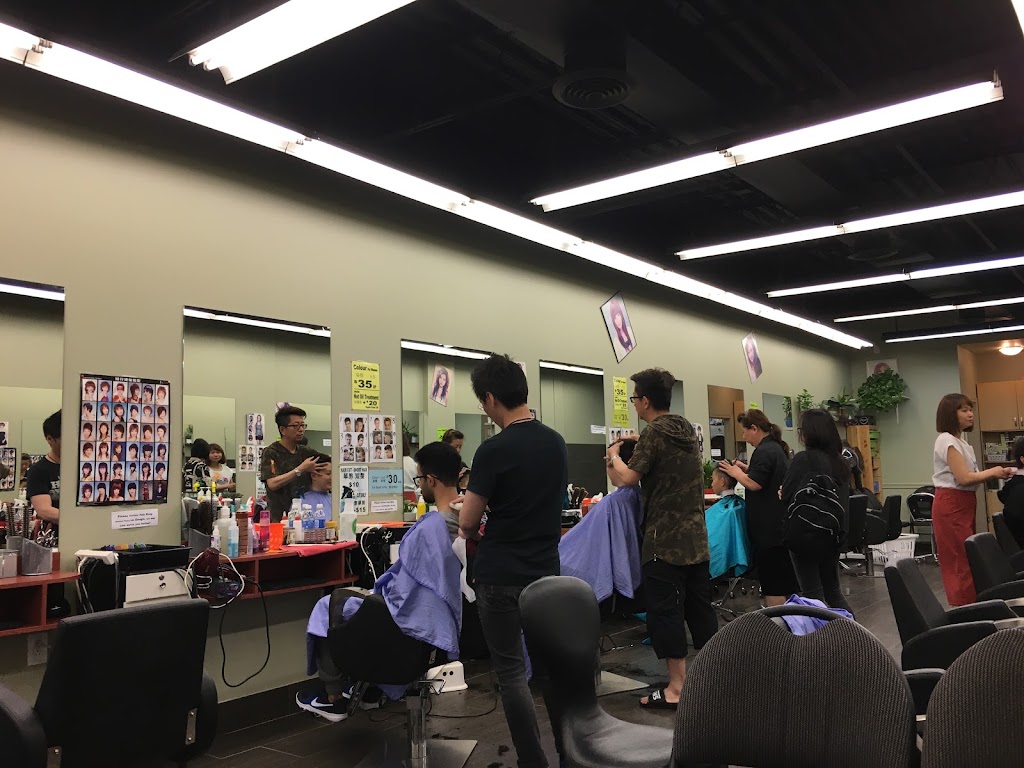 Hair King | 3068 Don Mills Rd E, North York, ON M2J 3C1, Canada | Phone: (416) 498-9828