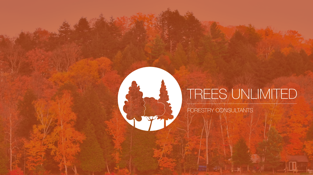 Trees Unlimited | 13130 McKenney Rd, Niagara Falls, ON L3B 6N7, Canada | Phone: (905) 384-0789