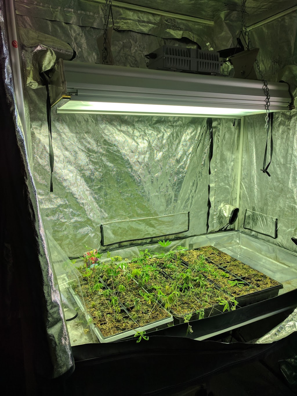 B & B Hydroponic Gardens | 3326 Limebank Rd #4, Ottawa, ON K1V 1H2, Canada | Phone: (613) 723-5047