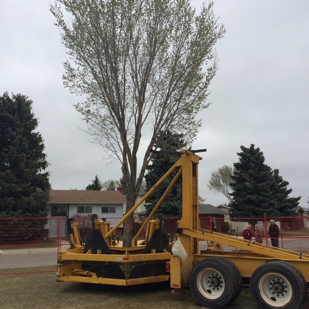 Spruce Hill Tree Movers Ltd | Township Rd 512, Sherwood Park, AB T8C 1H2, Canada | Phone: (780) 922-2030