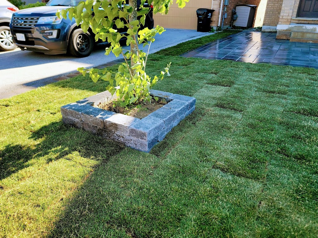 BeeDone Landscaping | 10th Side Rd, Alliston, ON L0L 1L0, Canada | Phone: (416) 817-9901