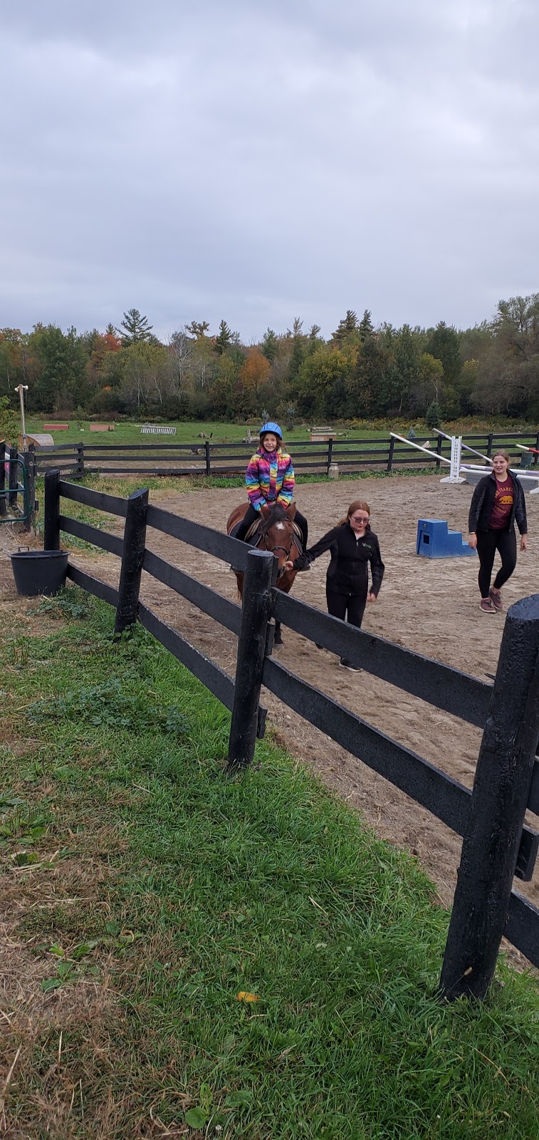 Irish Creek Stables | 6530 Wellington County Rd 34, Cambridge, ON N3C 2V4, Canada | Phone: (519) 658-2998