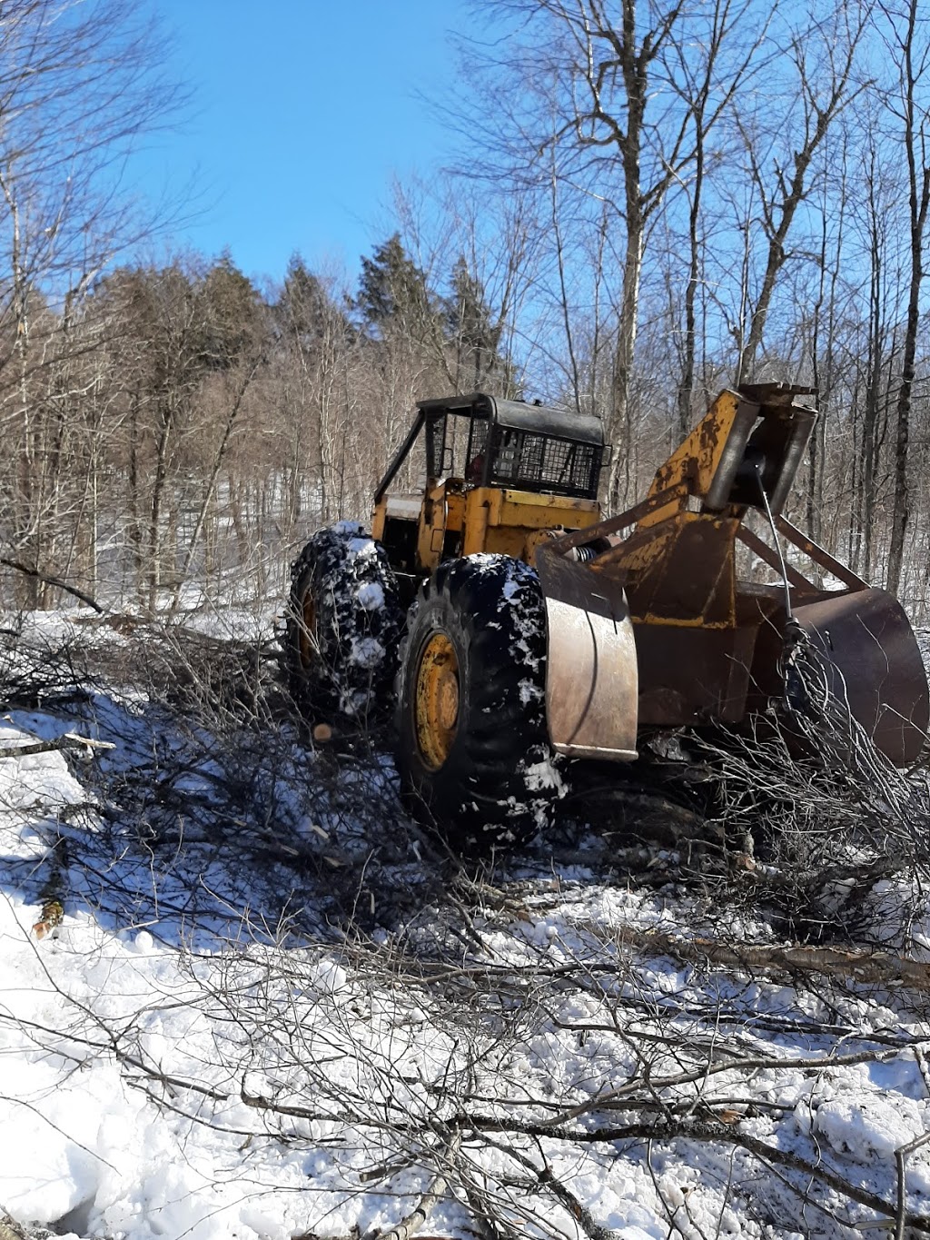 Émondage Expert S. Baril Enr. | 1404 Chemin du Lac Louisa, Wentworth-Nord, QC J0T 1Y0, Canada | Phone: (514) 712-1868