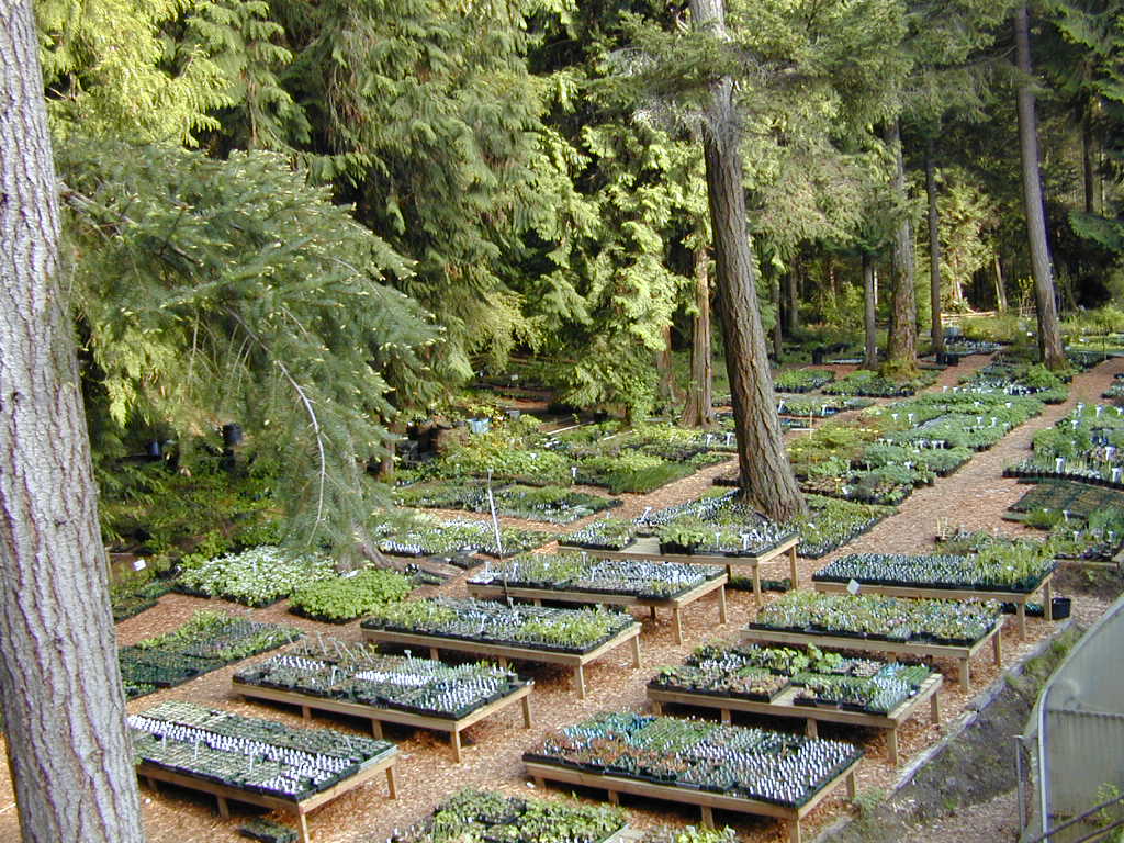 Frasers Thimble Farm | 175 Arbutus Rd, Salt Spring Island, BC V8K 1A3, Canada | Phone: (250) 537-5788