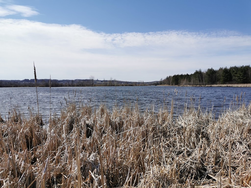 Centre dInterprétation de la Nature du Lac Boivin | 700 Rue Drummond, Granby, QC J2H 0K6, Canada | Phone: (450) 375-3861