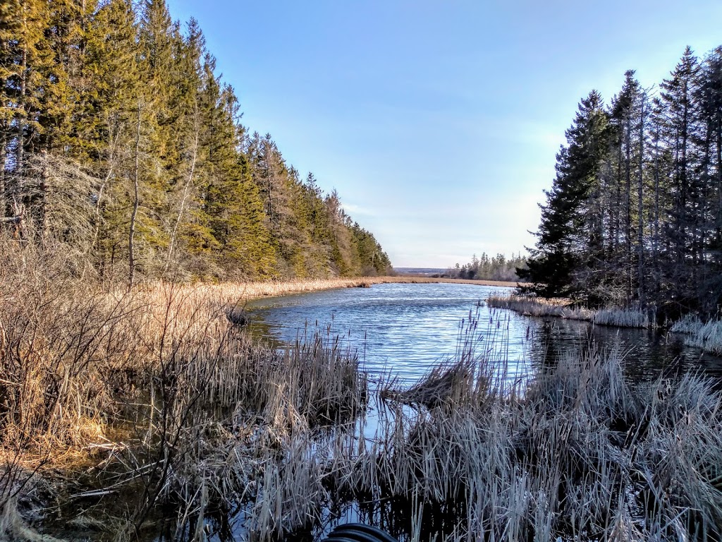 Amherst Point Migratory Bird Sanctuary | QPRX+MW, Nappan, NS B0L 1C0, Canada | Phone: (800) 668-6767