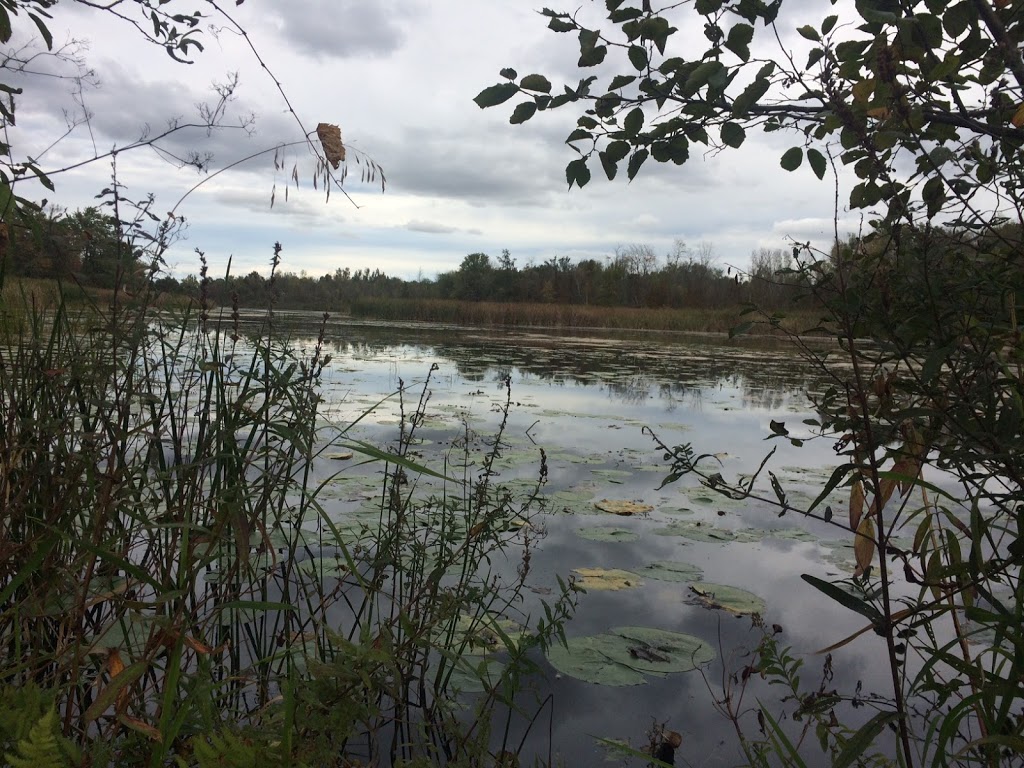 John C. Foster Park | North Grenville, ON K0G 1J0, Canada