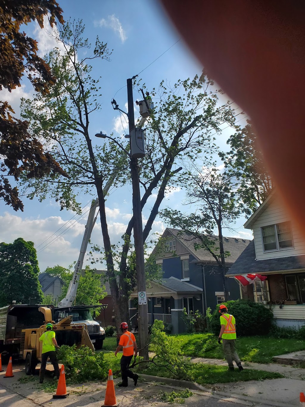 Rayzor Edge Tree Service | 1693 Durst Rd, St. Jacobs, ON N0B 2N0, Canada | Phone: (519) 503-9829