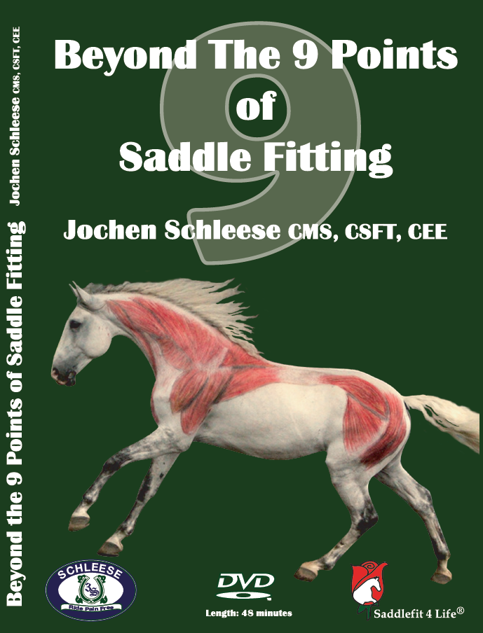 Saddlefit 4 Life® | 82 Derby Ct, Newmarket, ON L3Y 5Z9, Canada | Phone: (800) 225-2242