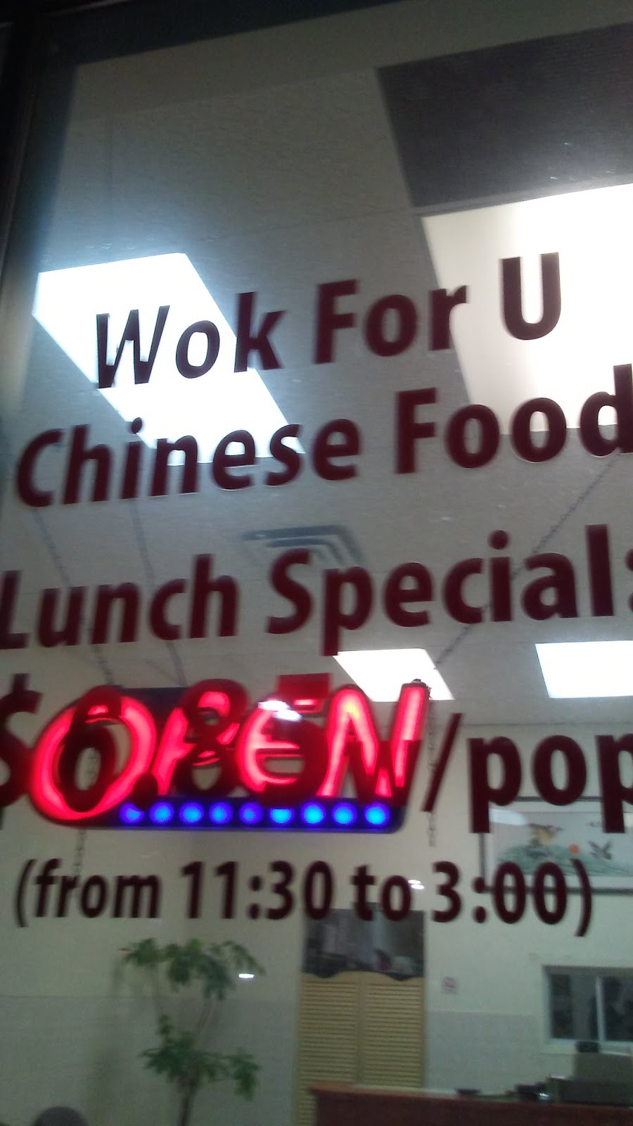 Wok for U | 3221 Derry Rd W, Mississauga, ON L5N 8R8, Canada | Phone: (905) 785-2188