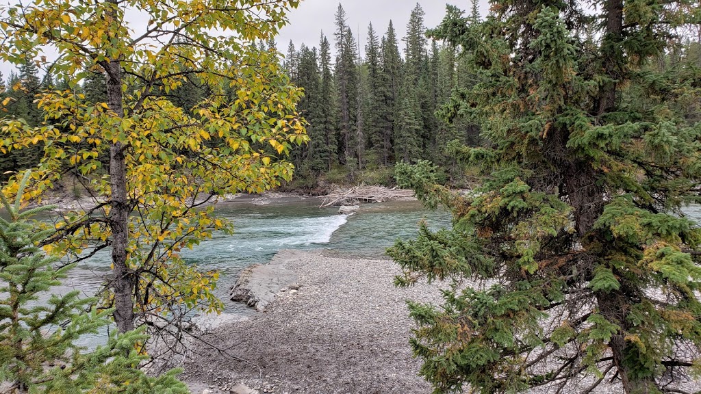 Cartier Creek Campground | Clearwater County, AB T0M, Canada | Phone: (403) 637-2198