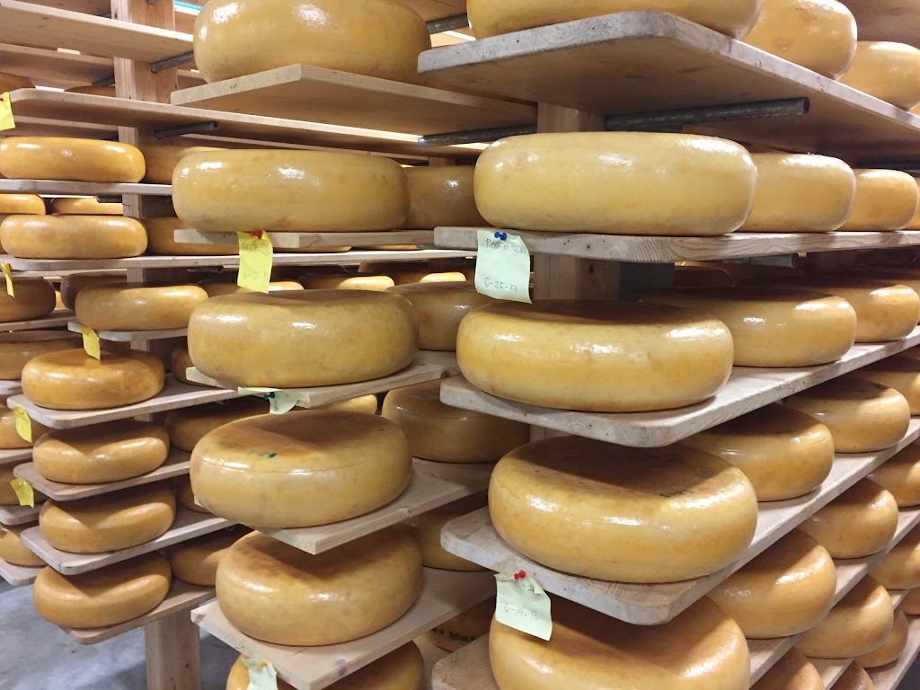 Sylvan Star Cheese Ltd | 39008 Range Rd 10, Alberta T4E 0G4, Canada | Phone: (403) 340-1560