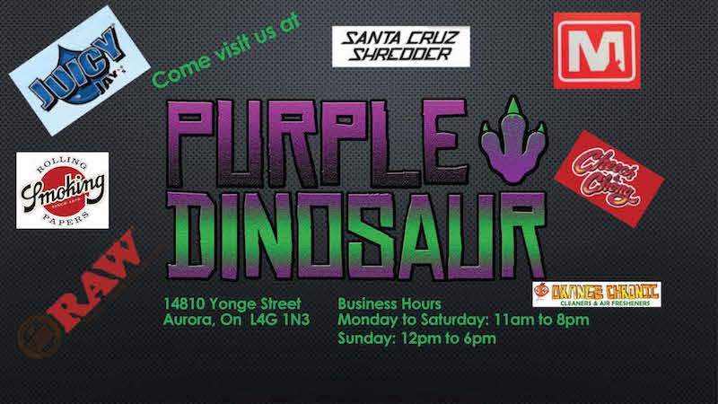 Purple Dinosaur | 14810 Yonge St c5, Aurora, ON L4G 1N3, Canada | Phone: (289) 802-1163