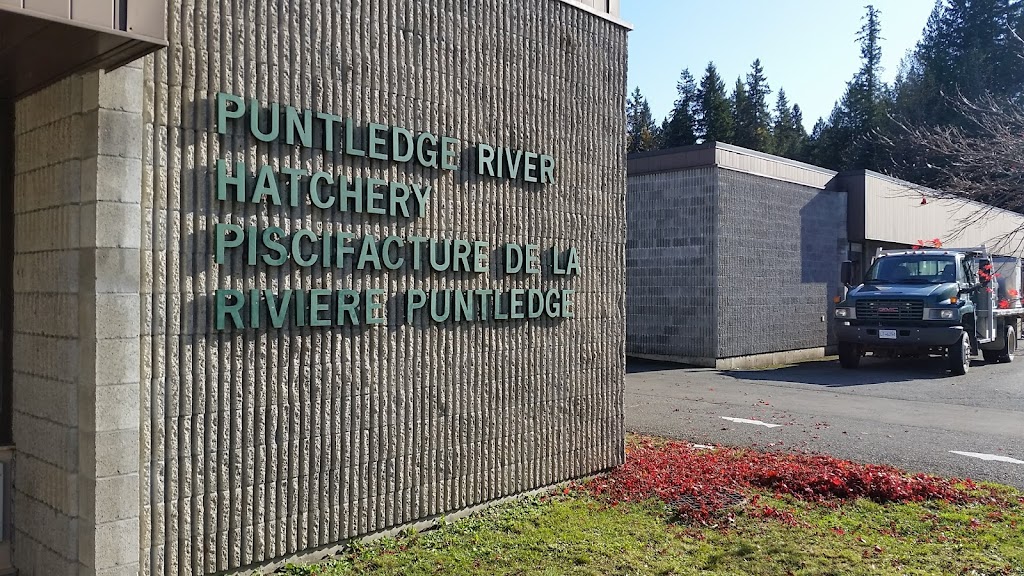 Puntledge River Hatchery | 38 Powerhouse Rd, Courtenay, BC V9N 9L3, Canada | Phone: (250) 703-0907