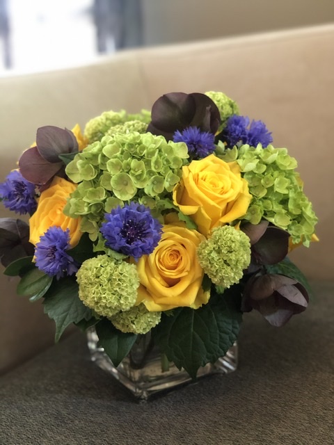 Astra Florists at Terrain | 2847 Dufferin St, North York, ON M6B 3S4, Canada | Phone: (416) 787-1415