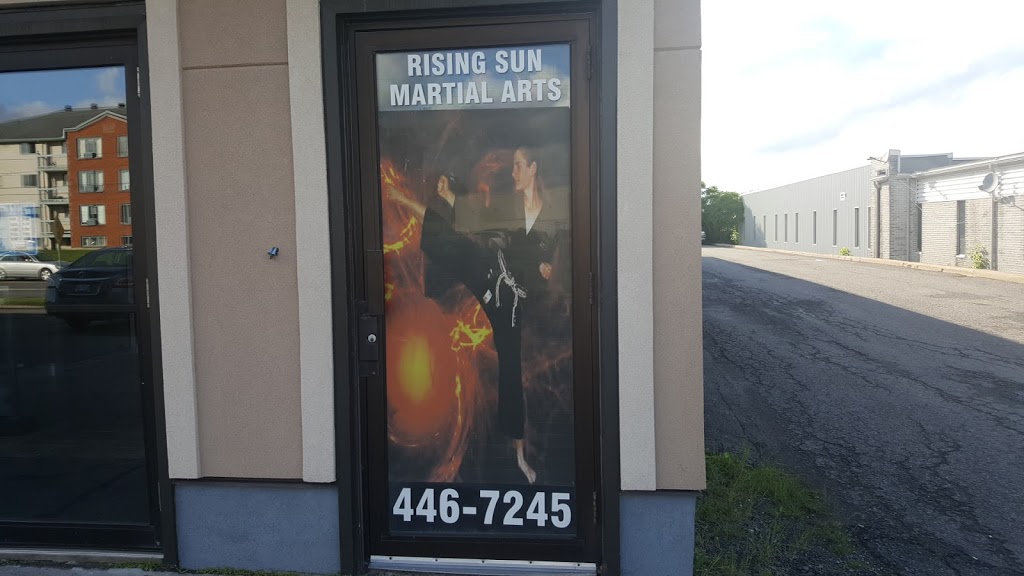 Rising Sun Martial Arts | 8710 County Rd 17, Rockland, ON K4K 1T2, Canada | Phone: (613) 446-7245