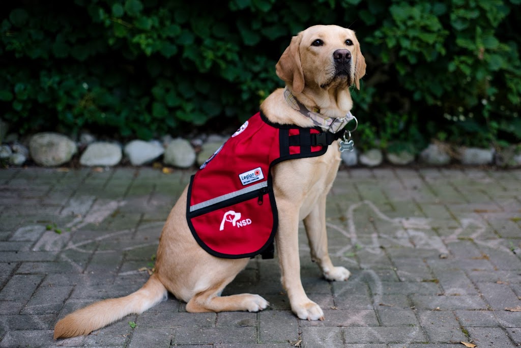 National Service Dogs Education Centre | 1440 King St E, Kitchener, ON N2G 2N7, Canada | Phone: (519) 623-4188