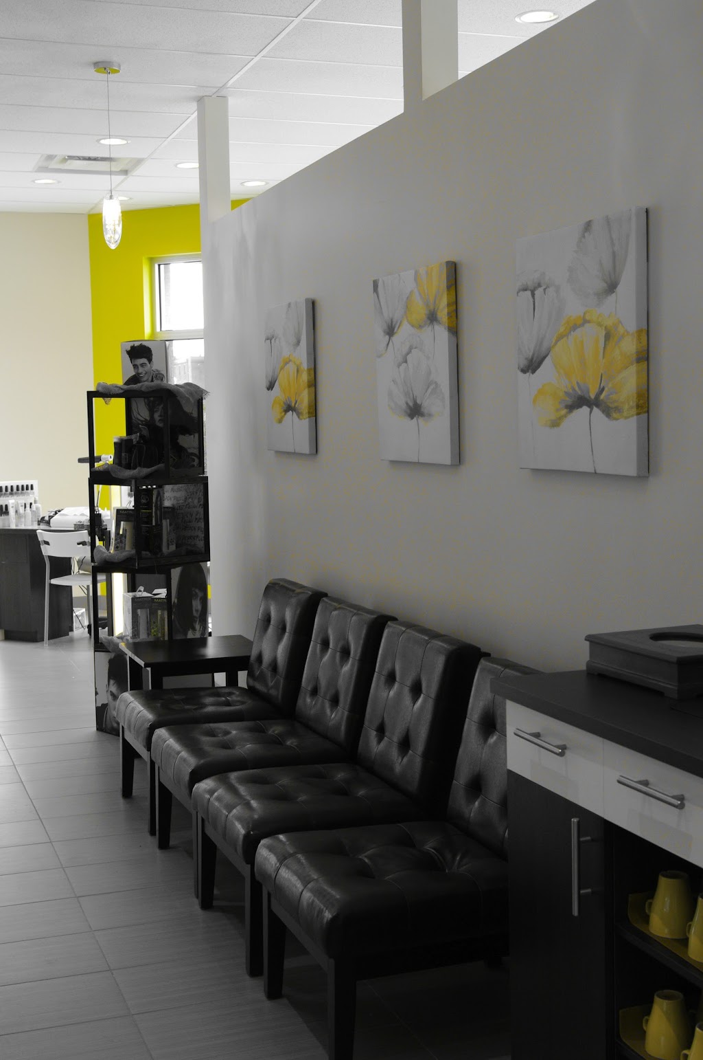 Distinction Heidi | 1206 Rue Yves-Blais Yves-Blais, Terrebonne, QC J6V 1P7, Canada | Phone: (450) 932-3223