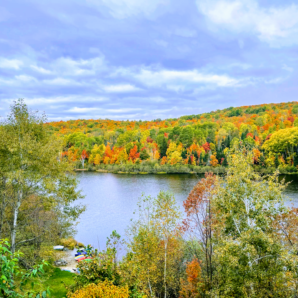 Domaine du Cinq | 68 5E Rang De Würtele, Ferme-Neuve, QC J0W 1C0, Canada | Phone: (873) 500-2467