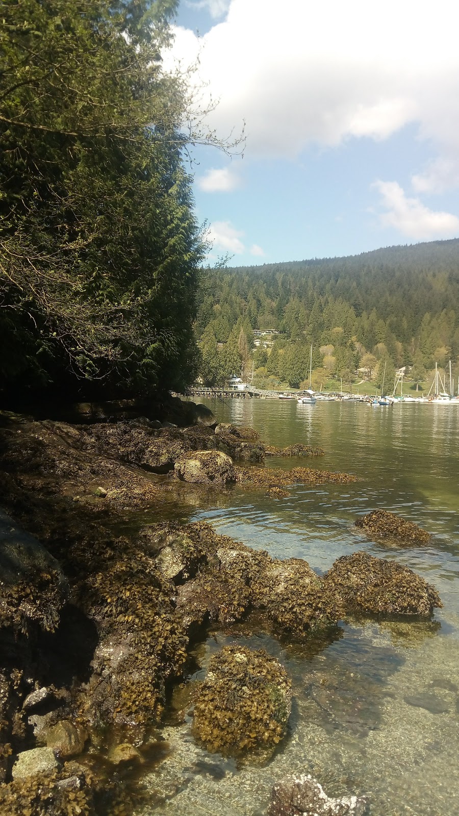 Deep Cove Park | North Vancouver, BC V7G, Canada