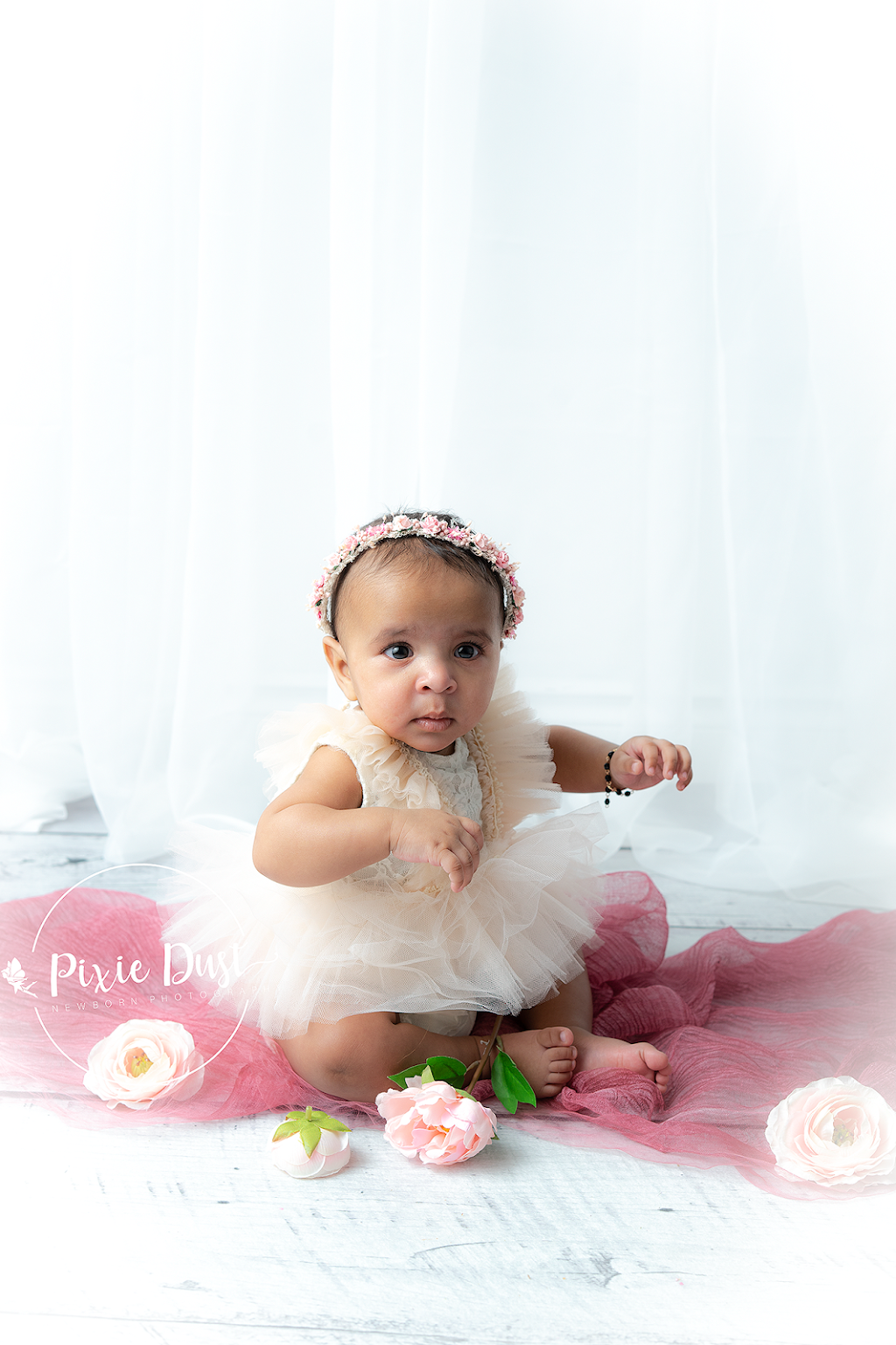 Pixie Dust Newborn Photography | N/a, Toronto, ON M1H 2L2, Canada | Phone: (250) 334-7673