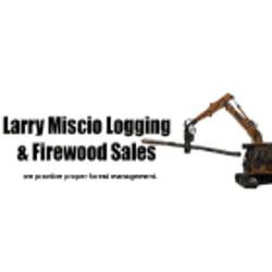 Larry Miscio Logging & Firewood Sales | 1382 Eagle Lake Rd, Eagle Lake, ON K0M 1M0, Canada | Phone: (705) 754-3762