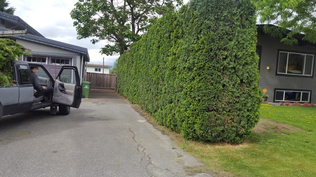 Bushwackers tree cutting and landscaping services | Lewis &, Williams St, Chilliwack, BC V2P 5G4, Canada | Phone: (604) 613-4710