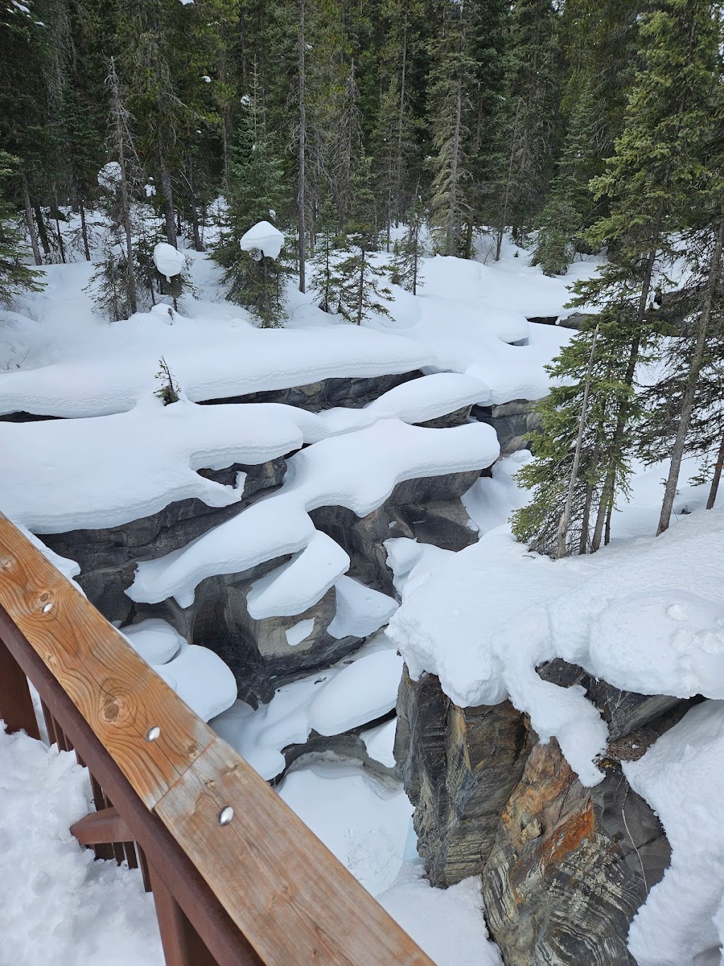 Numa Creek | Kootenay National Park, Numa Creek Trail, Spillimacheen, BC V0A 1J0, Canada | Phone: (250) 347-9505