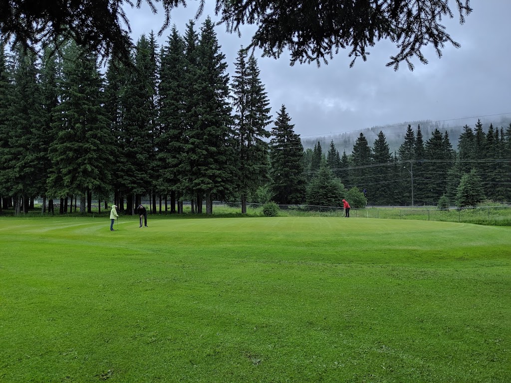 Mountain Meadows Golf Club | BC-43, Elkford, BC V0B 1H0, Canada | Phone: (250) 865-7413