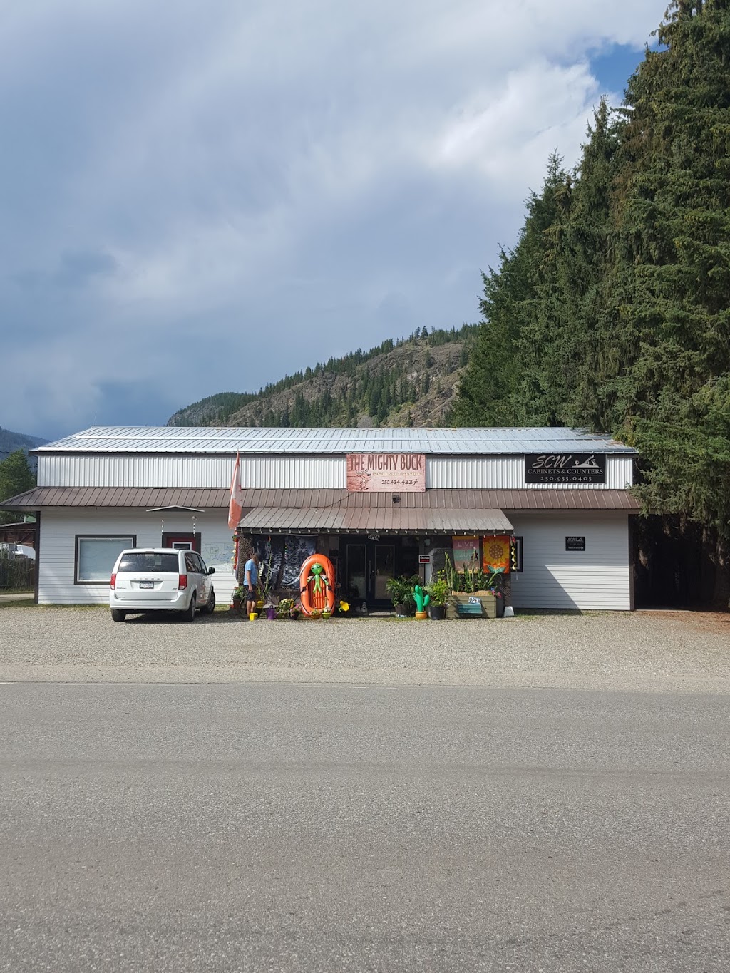 The Mighty Buck Dollar Store | 3993 Squilax-Anglemont Rd Unit B, Scotch Creek, BC V0E 1M5, Canada | Phone: (250) 434-4337