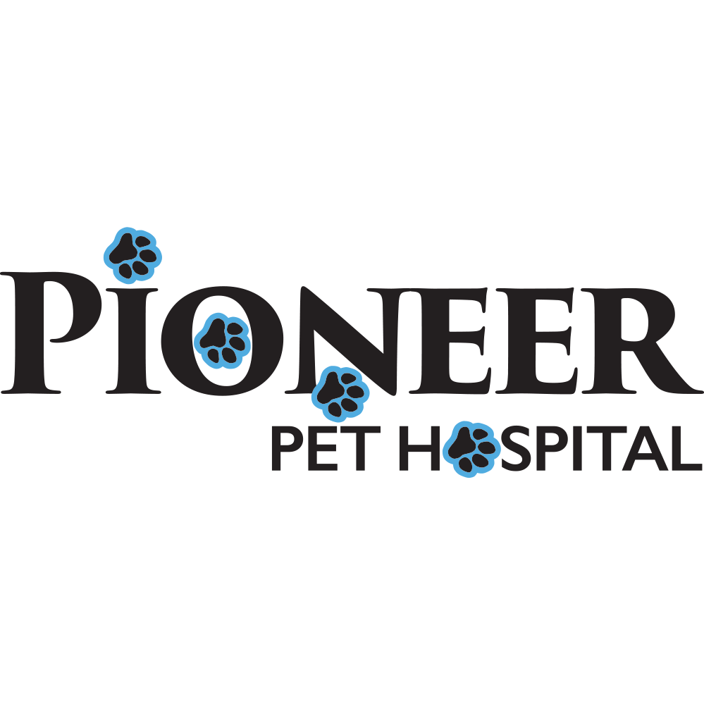 Pioneer Pet Hospital | 4411 King St E, Kitchener, ON N2P 2G1, Canada | Phone: (519) 653-4411