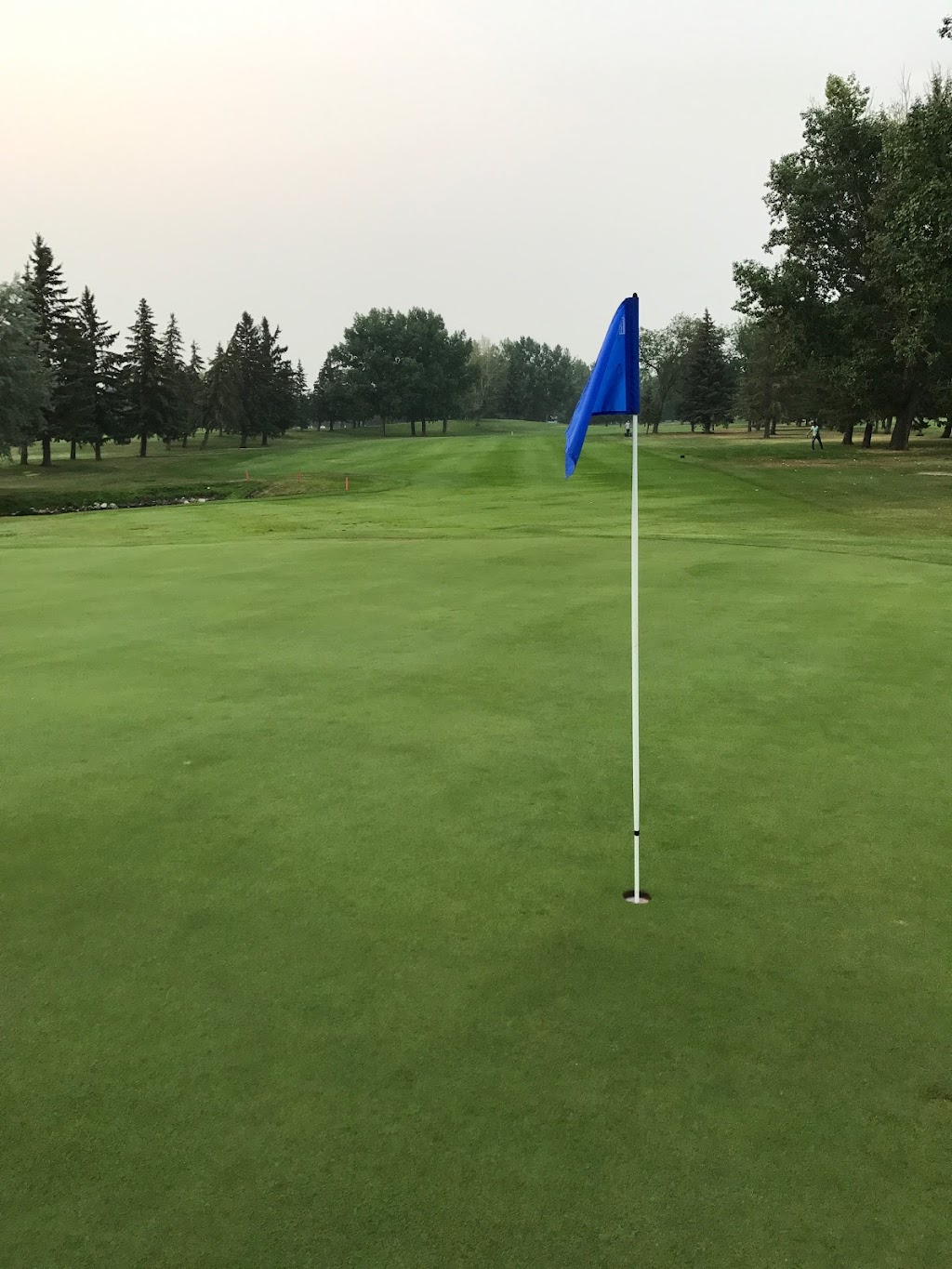 Taber Golf Club | 4909 44th St, Taber, AB T1G 1G1, Canada | Phone: (403) 223-2951