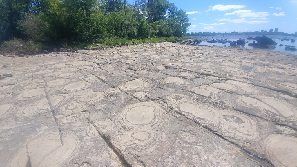 Stromatolites | Sentier des Voyageurs, Gatineau, QC J9H 7K9, Canada