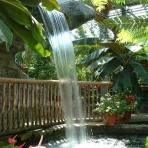 Cambridge Butterfly Conservatory | 2500 Kossuth Rd, Cambridge, ON N3H 4R7, Canada | Phone: (519) 653-1234