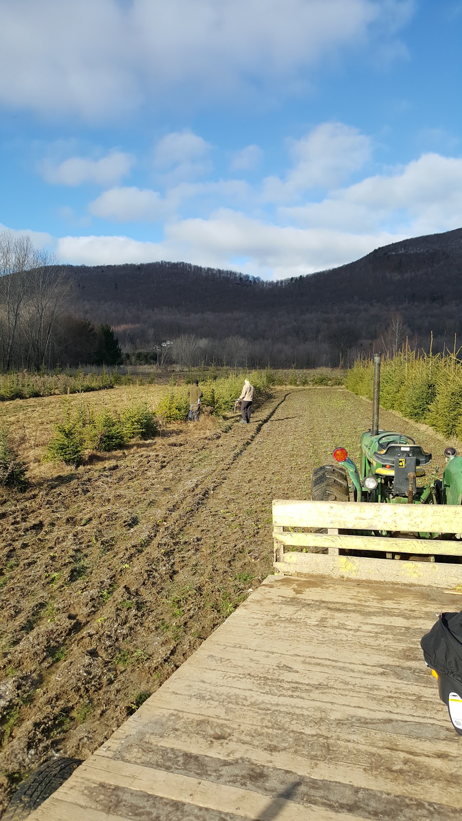 Pépinière Luc B Auclair | 2480 Rang de la Rivière N, Saint-Jean-Baptiste, QC J0L 2B0, Canada | Phone: (450) 464-0330