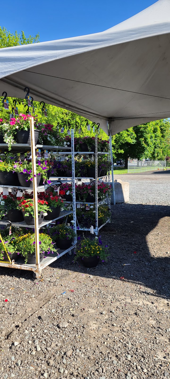 Darvonda Nurseries Ltd | 6690 216 St, Langley, BC V2Y 2N9, Canada | Phone: (604) 530-6889