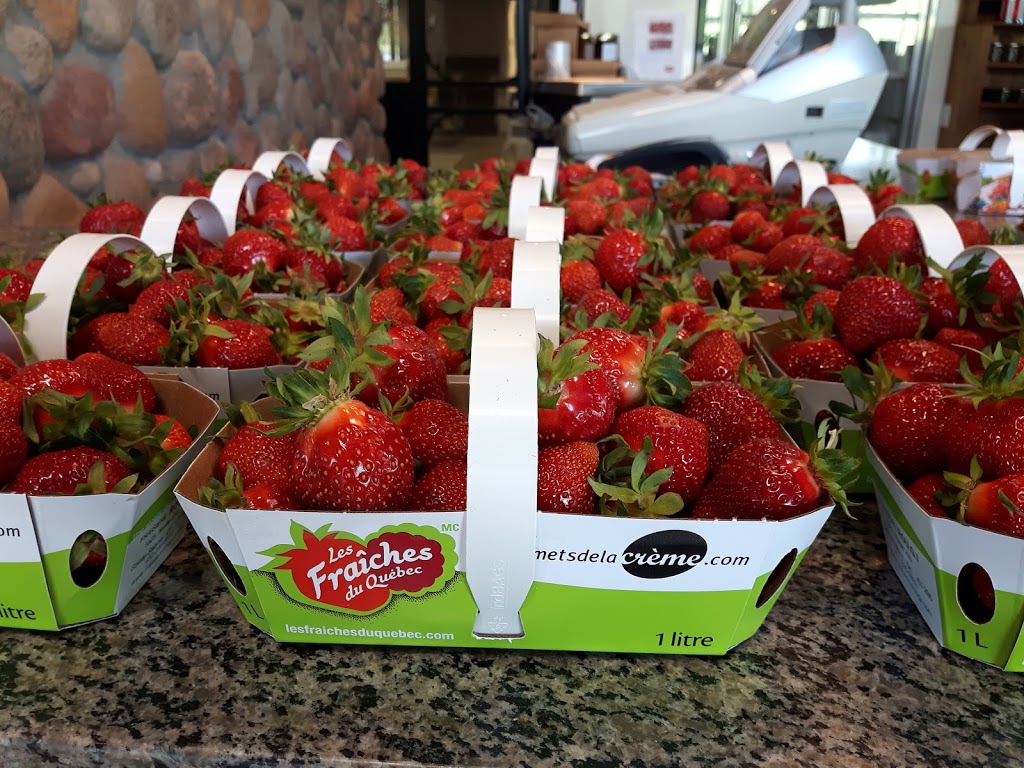 Fraisière RouGI et fils Inc. | 1525 QC-235, Sainte-Sabine, QC J0J 2B0, Canada | Phone: (450) 296-8802