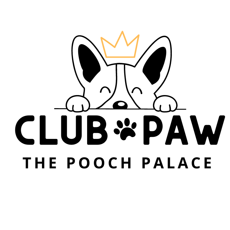 Club Paw - The Pooch Palace | 145 Main St, Woodstock, ON N4S 1T1, Canada | Phone: (226) 888-8455