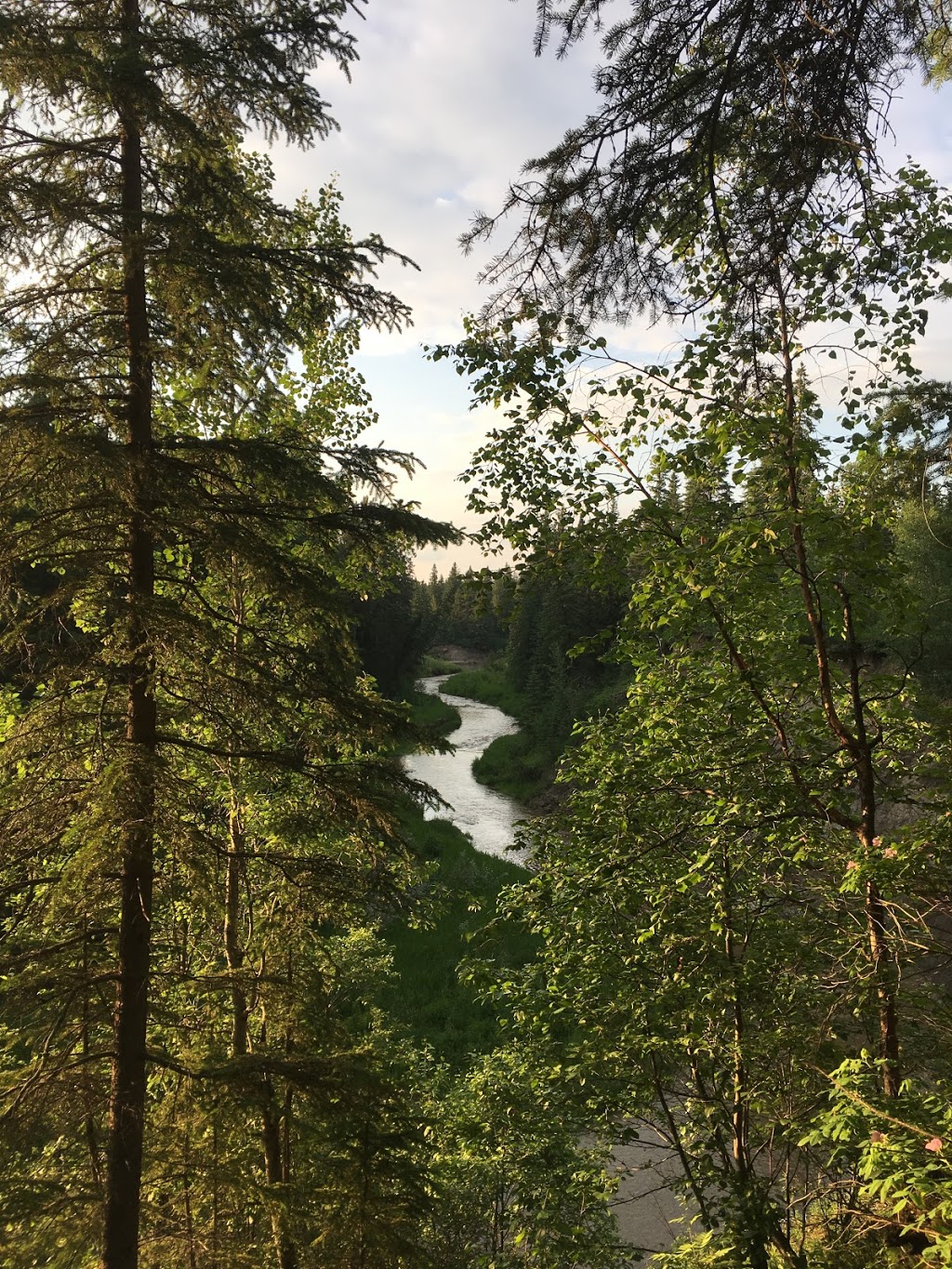 Whitemud Creek Stairs #250 | Unnamed Road, Edmonton, AB T6J 2C8, Canada