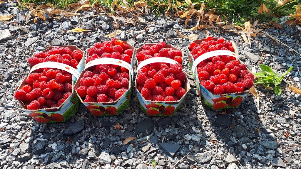 Les Jardins Claude et Maryse | 2525 Rang de la Rivière S, Saint-Jean-Baptiste, QC J0L 2B0, Canada | Phone: (450) 493-8343