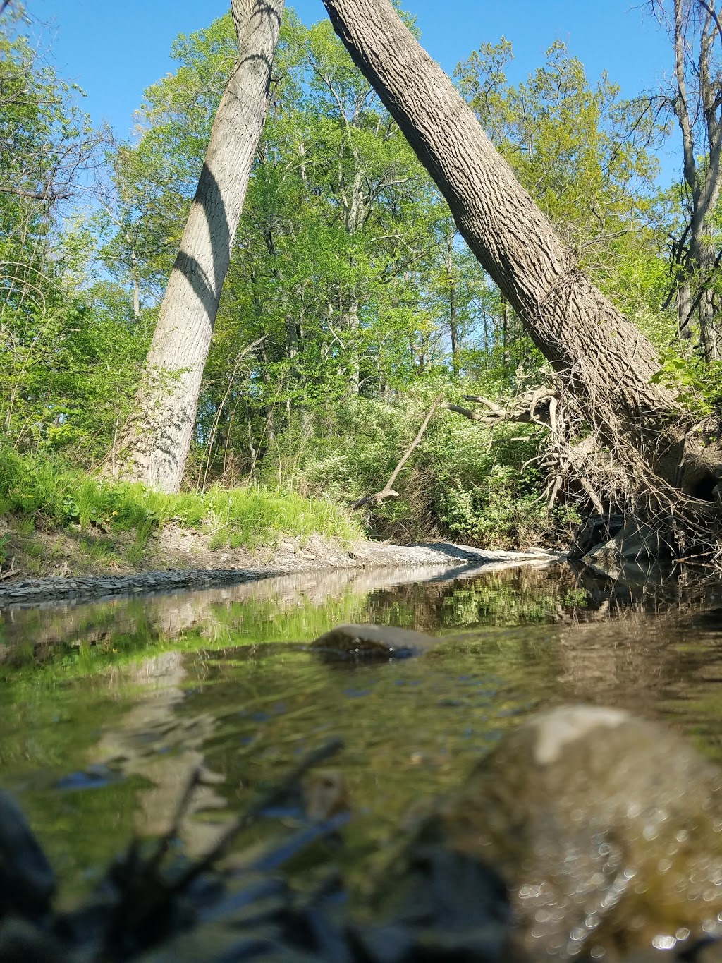 Eighteen Mile Creek-Lake | 6449 Lake Shore Rd #6445, Derby, NY 14047, USA