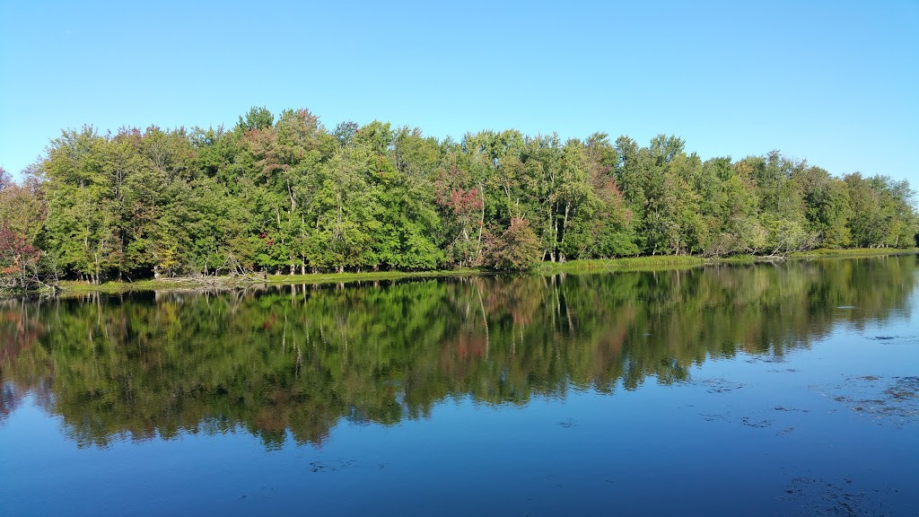 Tranquil Acres Camping | 3263 Appleton Side Rd, Carleton Place, ON K7C 4M3, Canada | Phone: (613) 257-4757