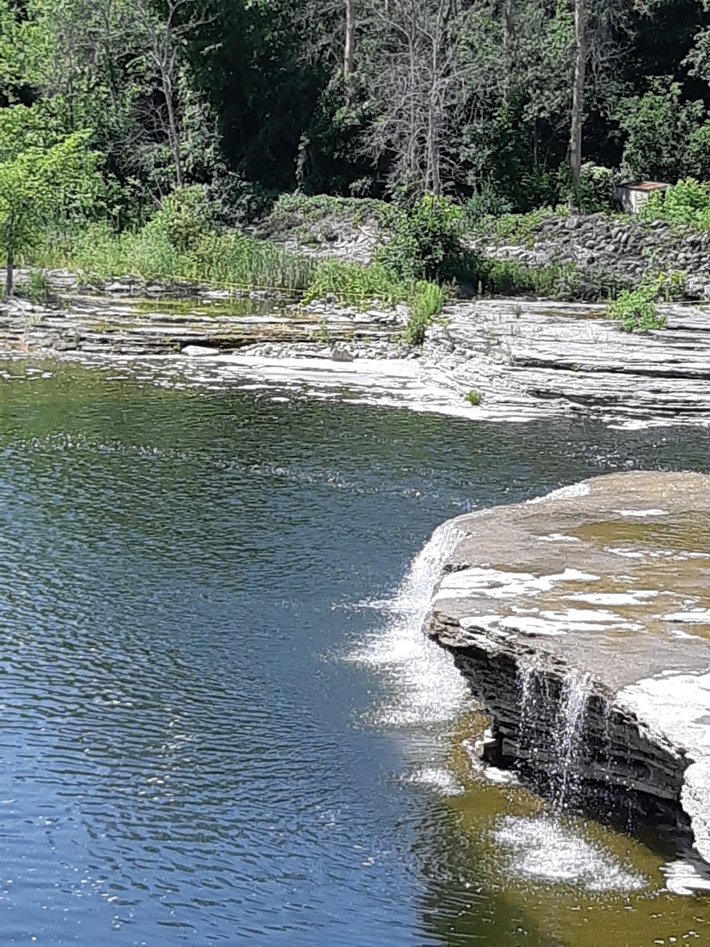 Ranney Gorge Suspension Bridge | Trent Dr, Campbellford, ON K0L 1L0, Canada | Phone: (705) 653-1551